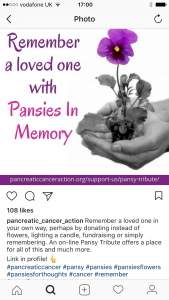 PCA Instagram post